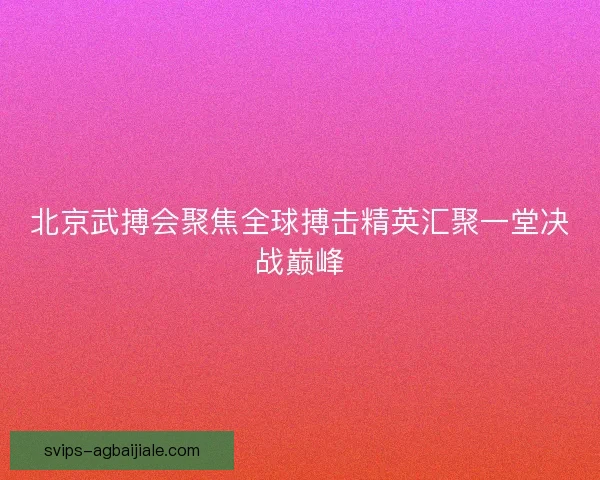 北京武搏会聚焦全球搏击精英汇聚一堂决战巅峰